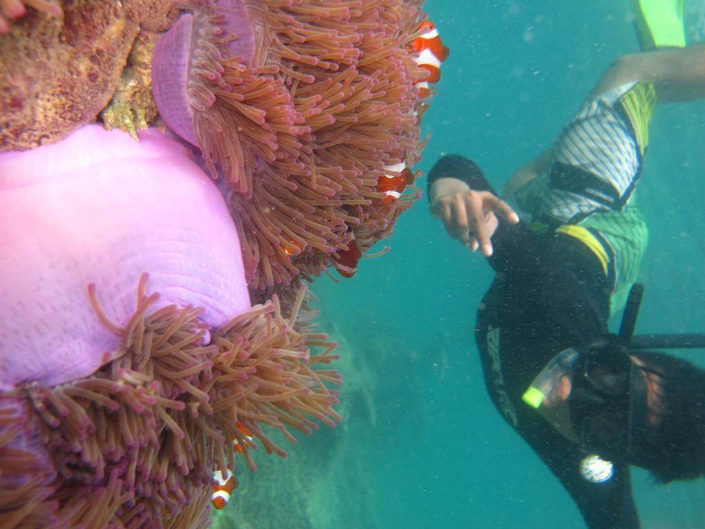 Ombak Dive Resort Perhentian Island Pulau Perhentian Kecil المظهر الخارجي الصورة